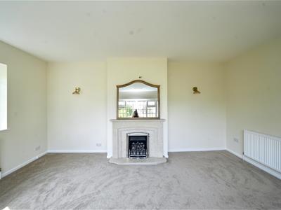 Picture 29